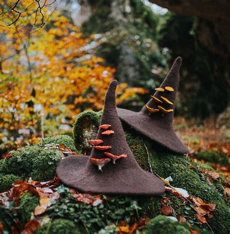 Witch Hat Mushroom: Nature's Masterpiece in Fungus Form